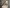 Oak_Olof_FOU_int01