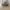 Taiga-Herringbone-Roomset-LTCHW2115R120_700x700